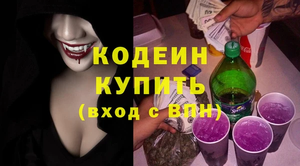 шишки Абаза
