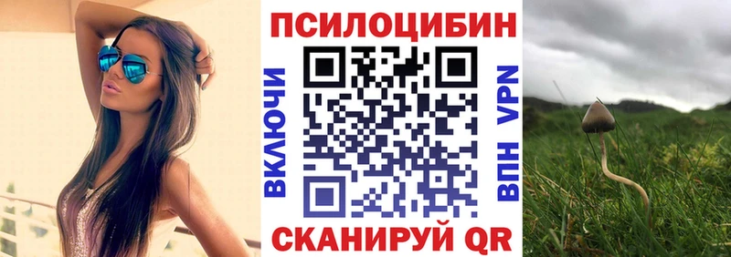 это телеграм  Ачхой-Мартан  Псилоцибиновые грибы Psilocybine cubensis  как найти  
